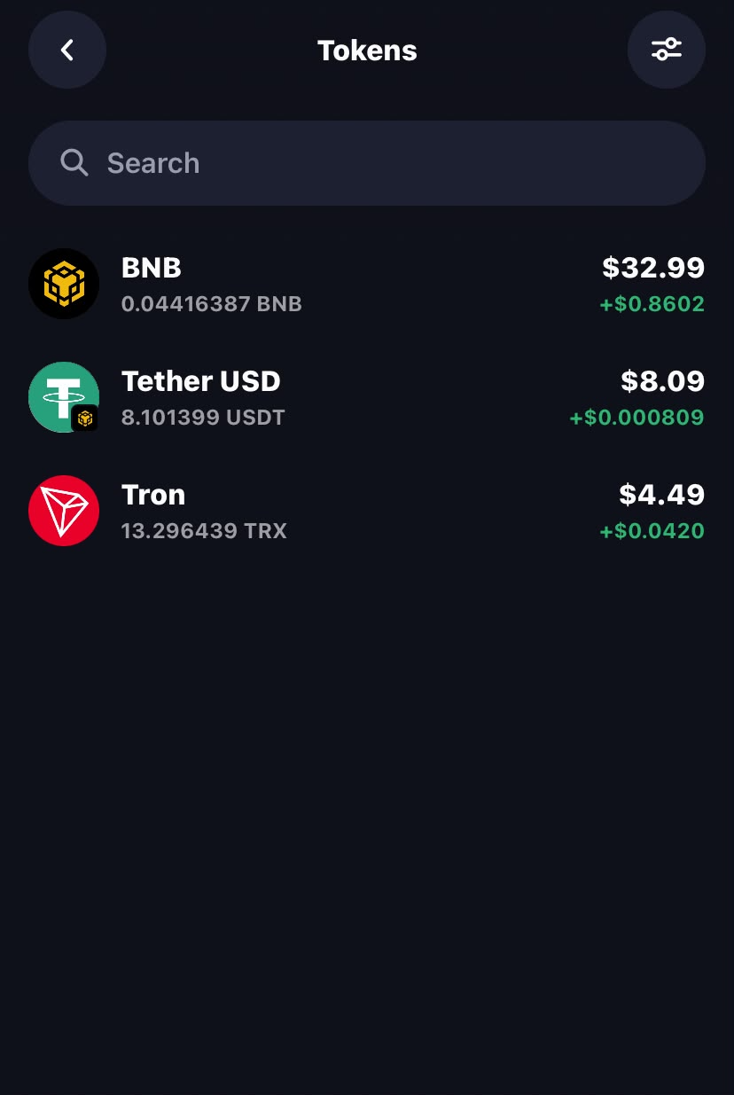Example wallet list: USDT on BNB Smart Chain next to BNB, and a separate Tron coin.